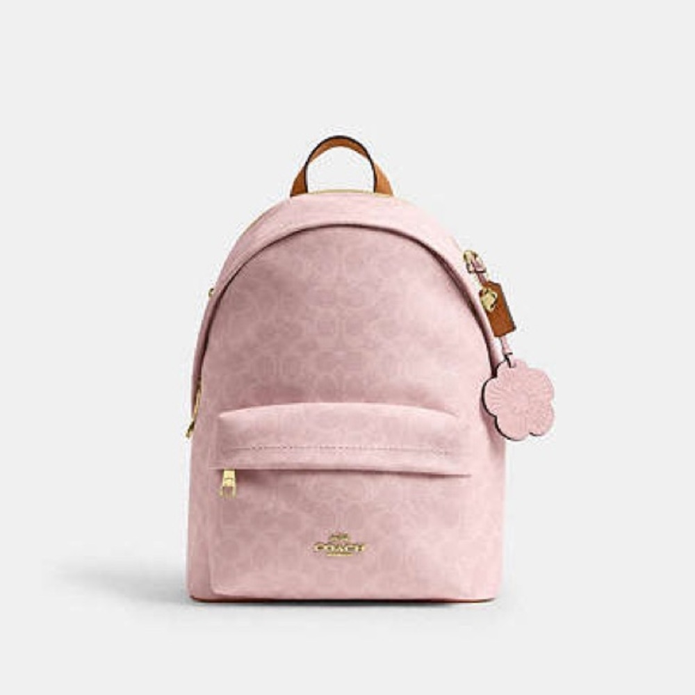NWT Coach Pink Backpack Taylor Small Backpack 2026 drop